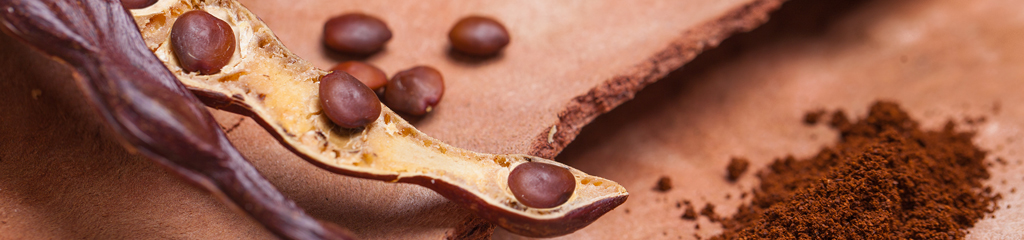 Macrovita Carob tree